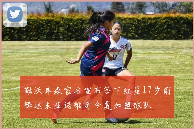 勒沃库森官方宣布签下红星17岁前锋达米亚诺维奇今夏加盟球队