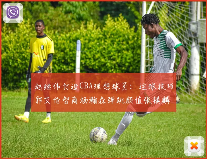 赵继伟打造CBA理想球员：运球技巧郭艾伦智商杨瀚森弹跳颜值张镇麟完美结合